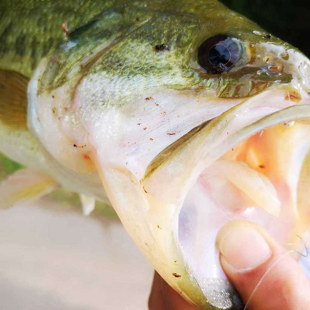 057370eb335bc6ef626dc5f9f1a56172