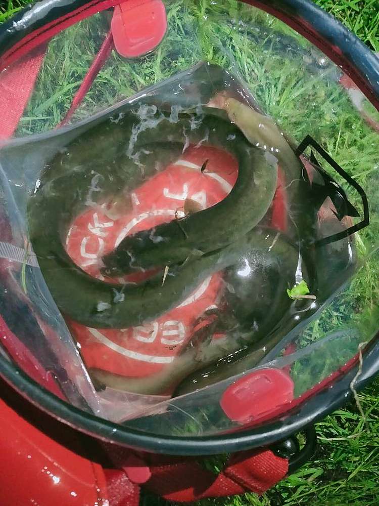 422c448b35bccaf19d80c5075a9b4662