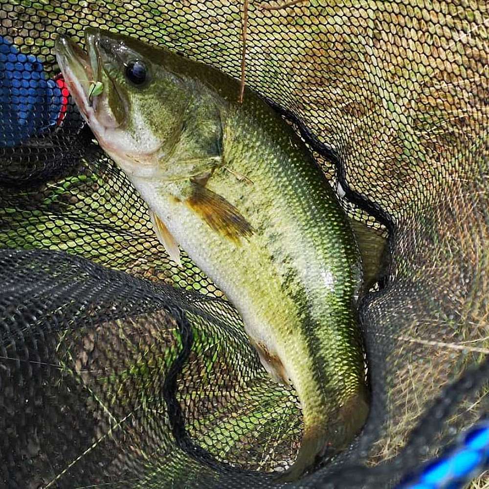 551afe200722999d960823be1486bb43