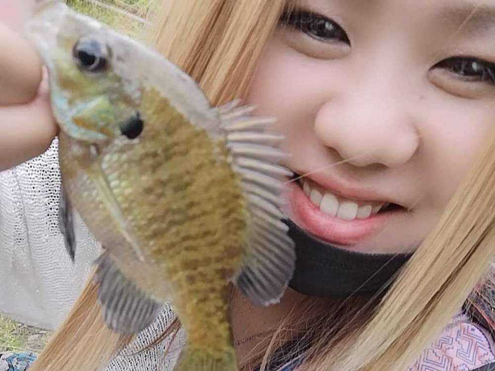 77e78077747e7b960b51e1f296eb5962