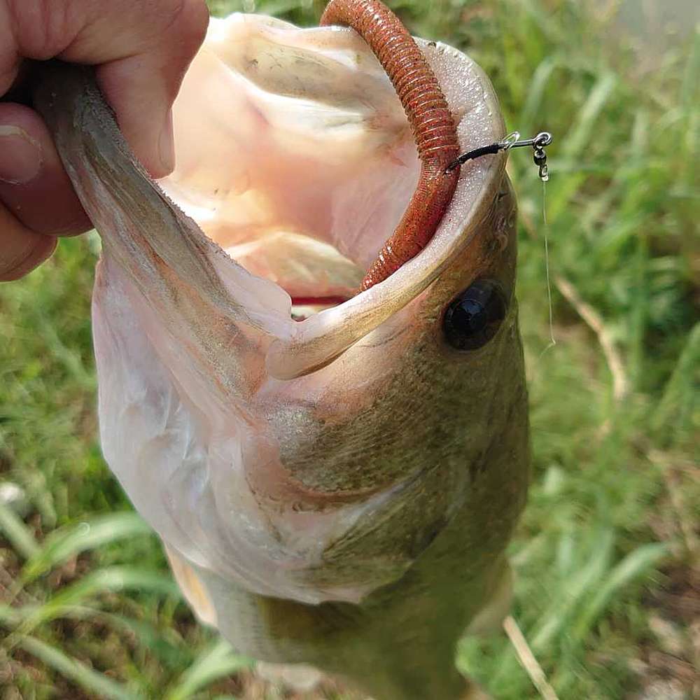 86f63000739949195aed256dd4c50e89