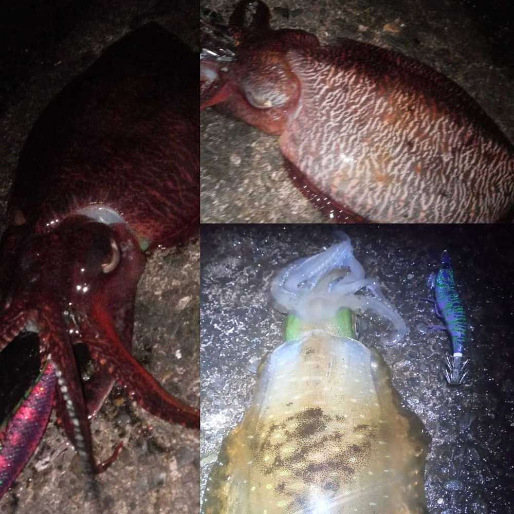 931e32b11a7f1592955ae30495249941