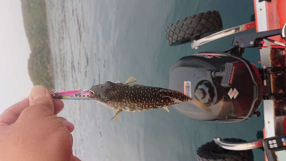 Ea56c2047af6bd4ce45b438d7471a3b4