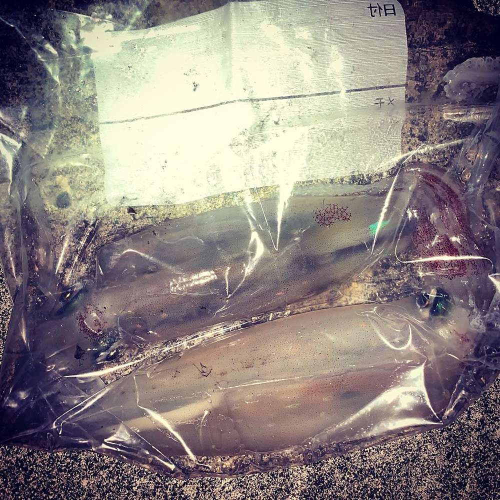 F12620599f076e4f6c678e1f1b663370