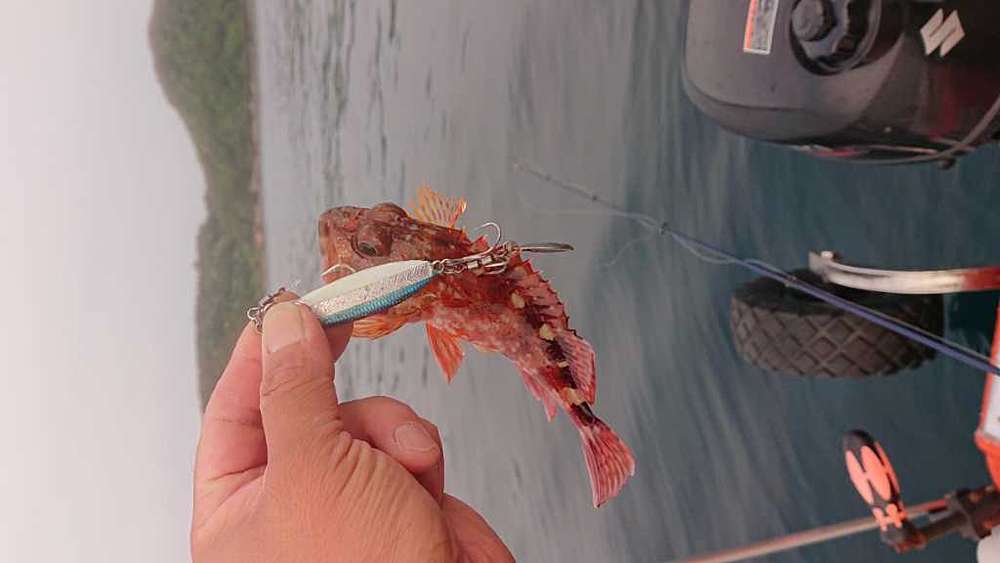 F804f1999cf9fa9a0b123c527a342da8